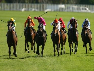 Timeform pick out three bets from South Africa on Tuesday